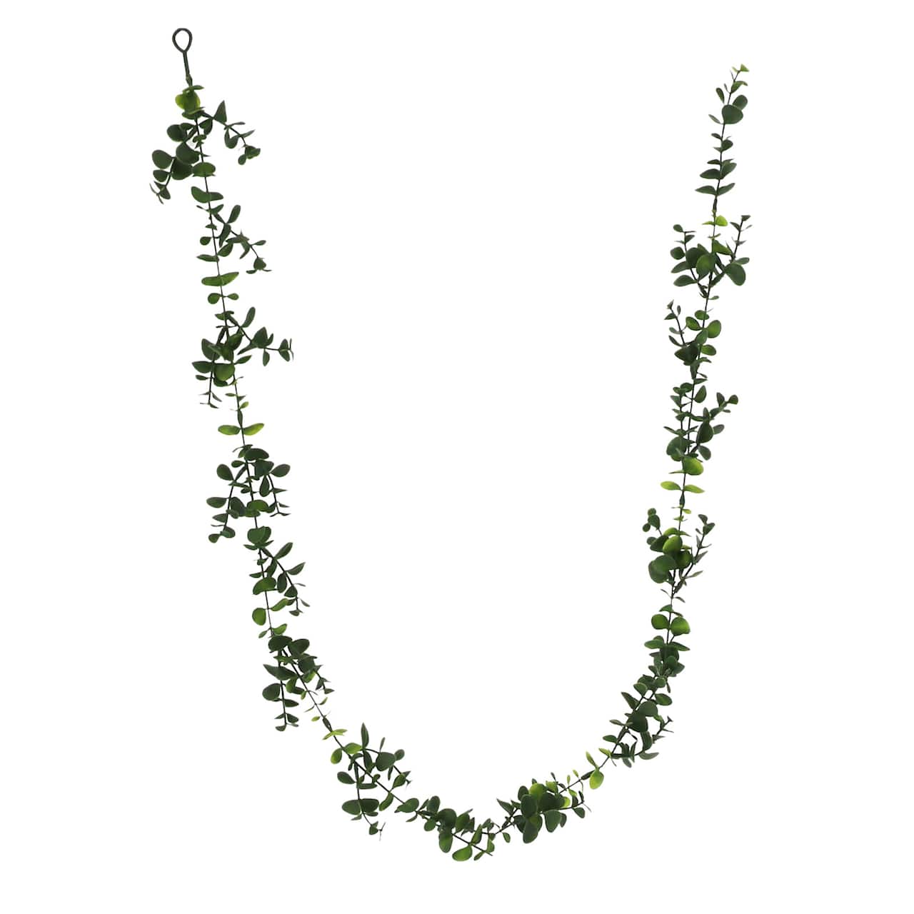 8 Pack: 5ft. Eucalyptus Coiled Garland by Ashland®